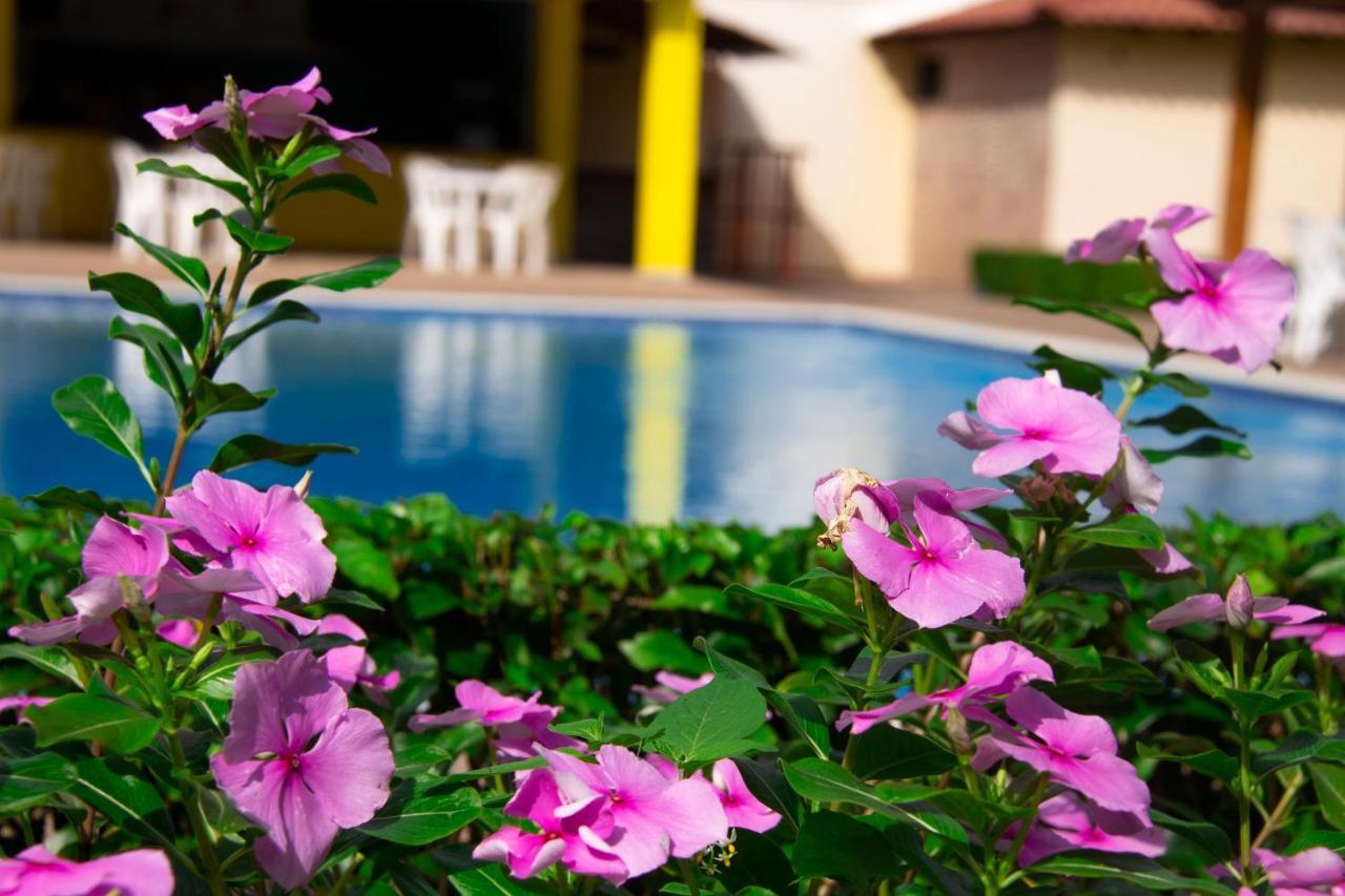 Deluxe Suites Guacamayos - Eco-Lodge & Swimming Pool Bonao Luaran gambar